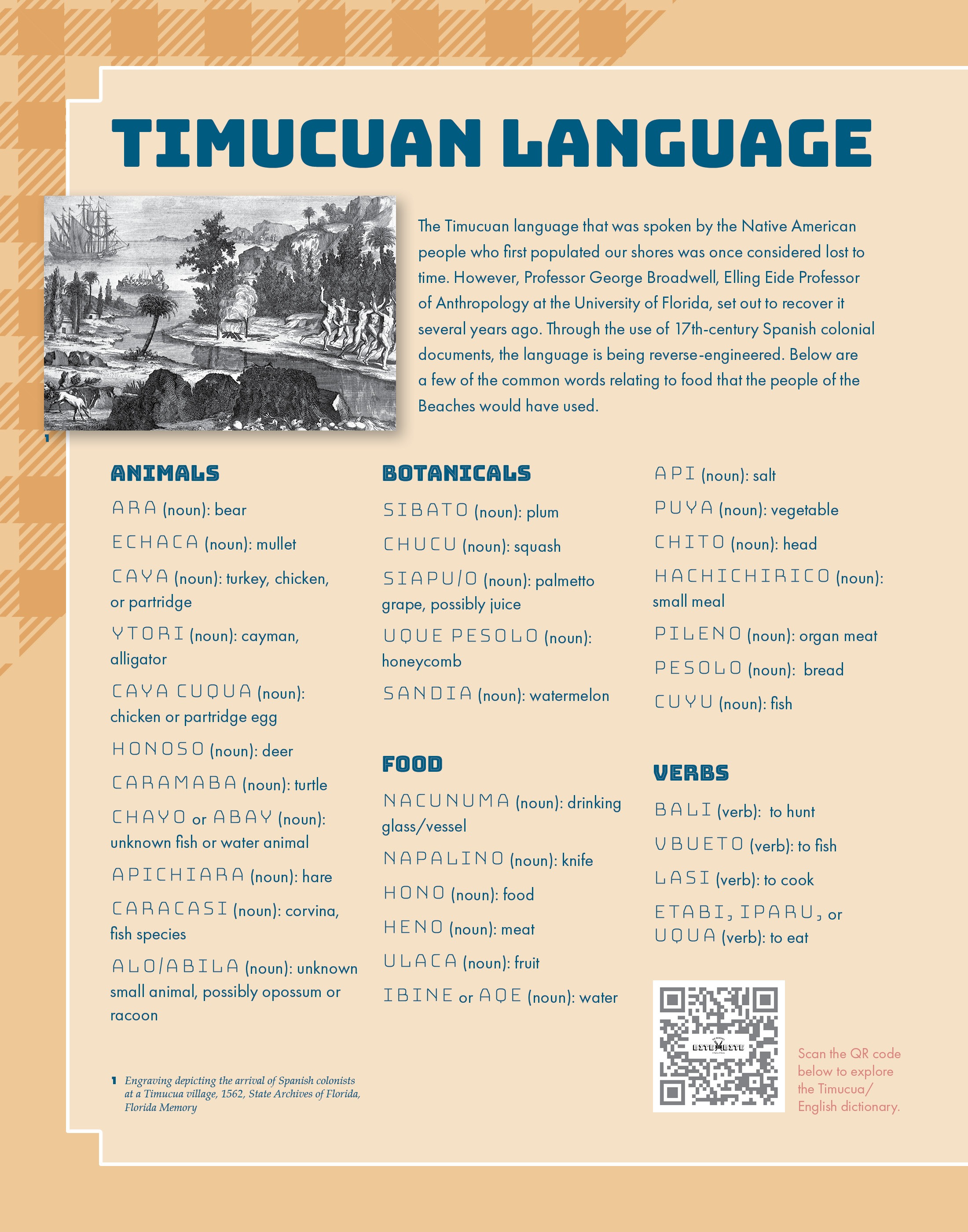 5-Timucuan-Language-22x28